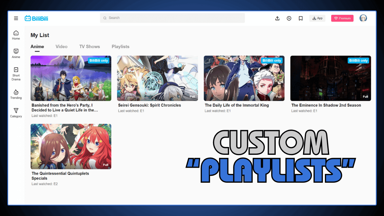 Custom Playlists
