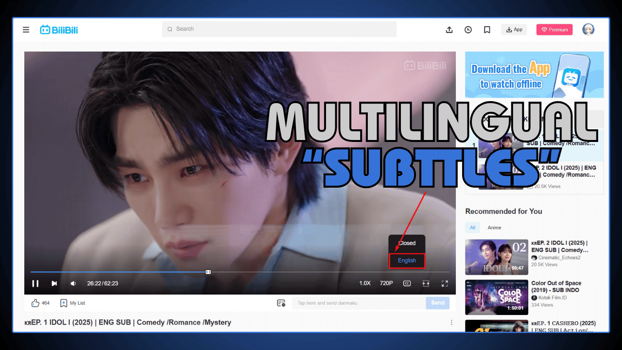 Multilingual Subtitles