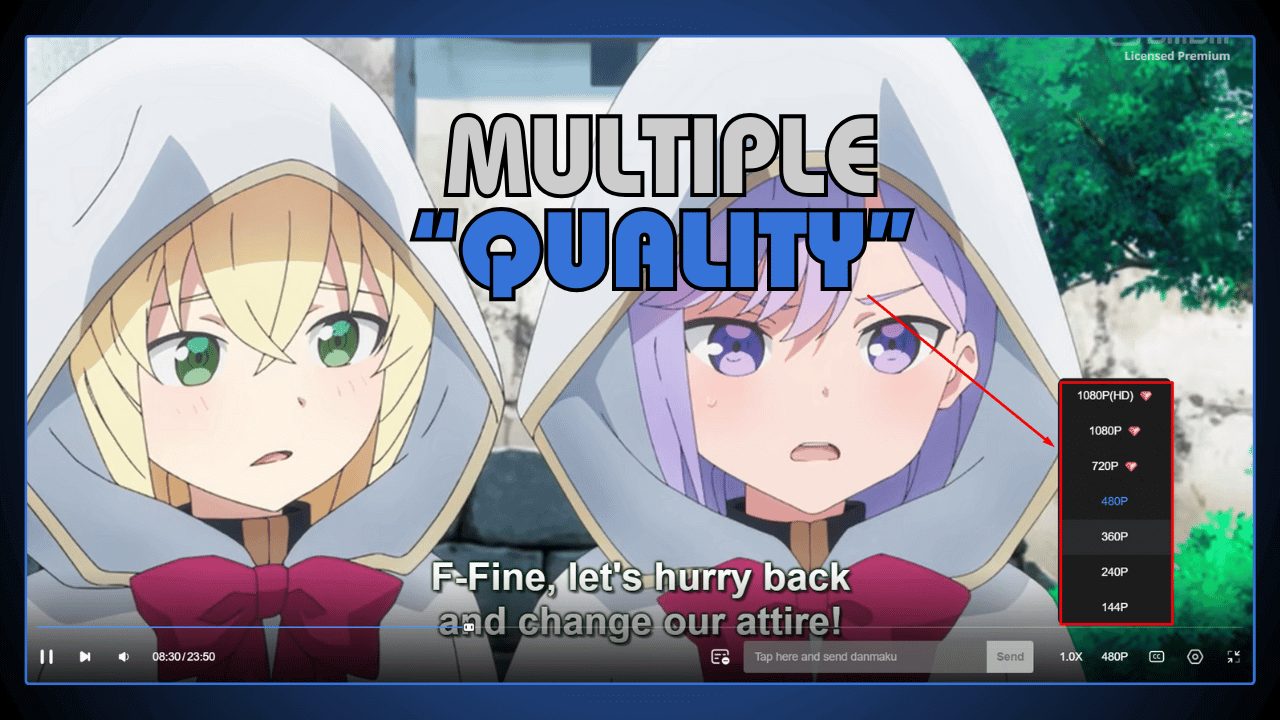 Multiple Quality
